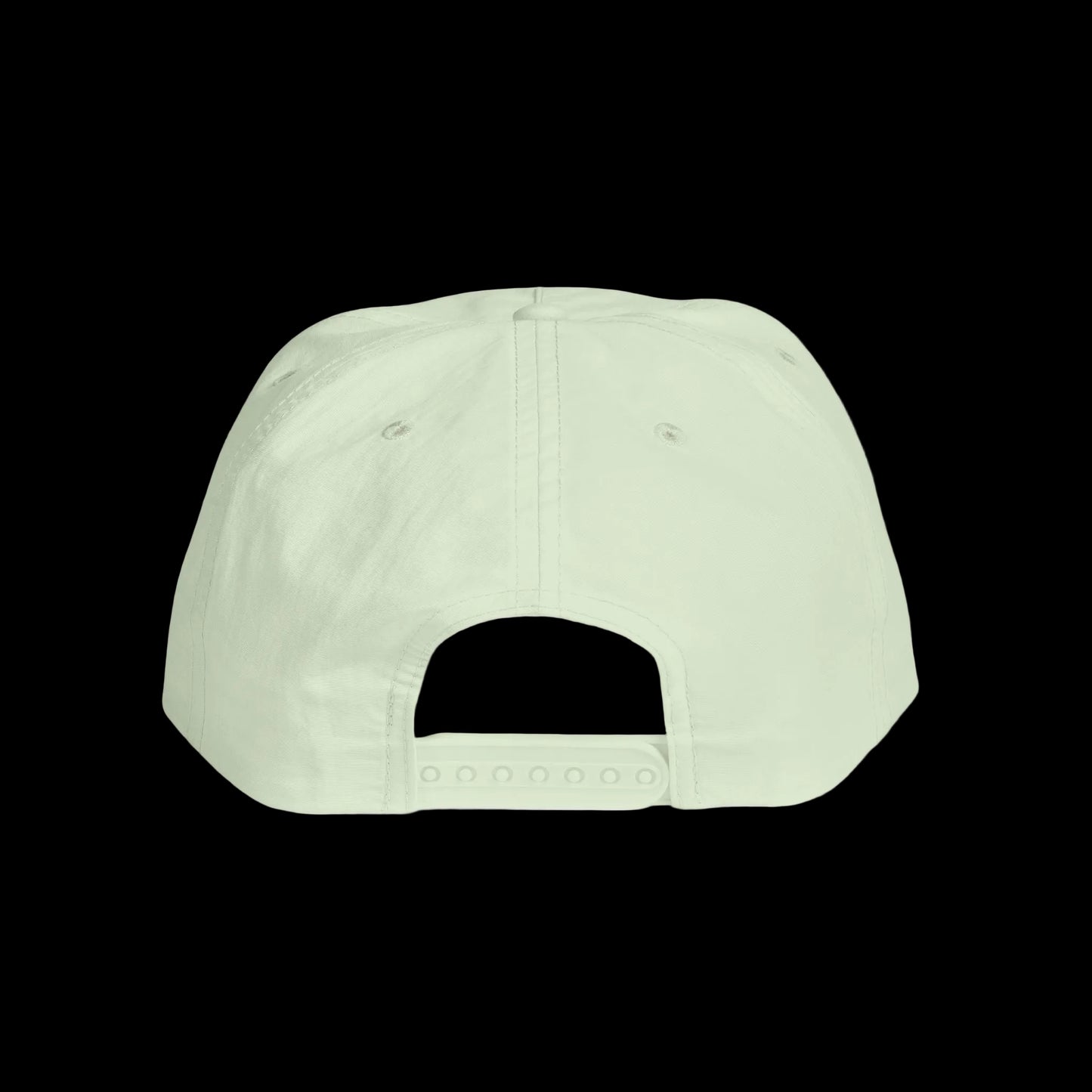 Forecast Cap